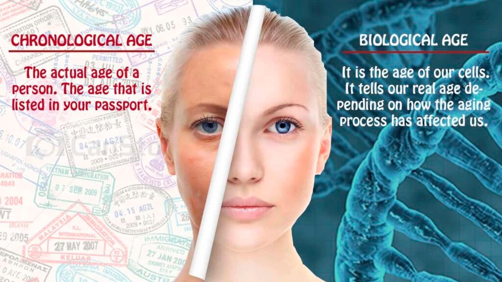 The Science of Biological Age: 5 Lifestyle Shifts to Reverse Your Internal Clock