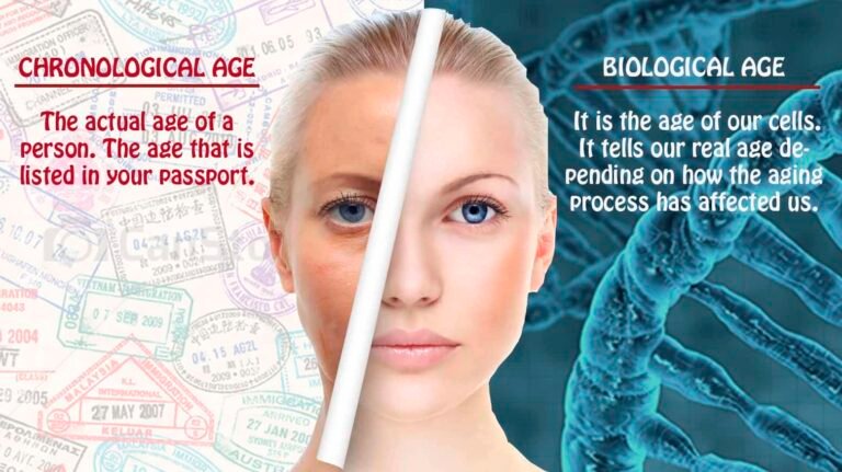 The Science of Biological Age: 5 Lifestyle Shifts to Reverse Your Internal Clock